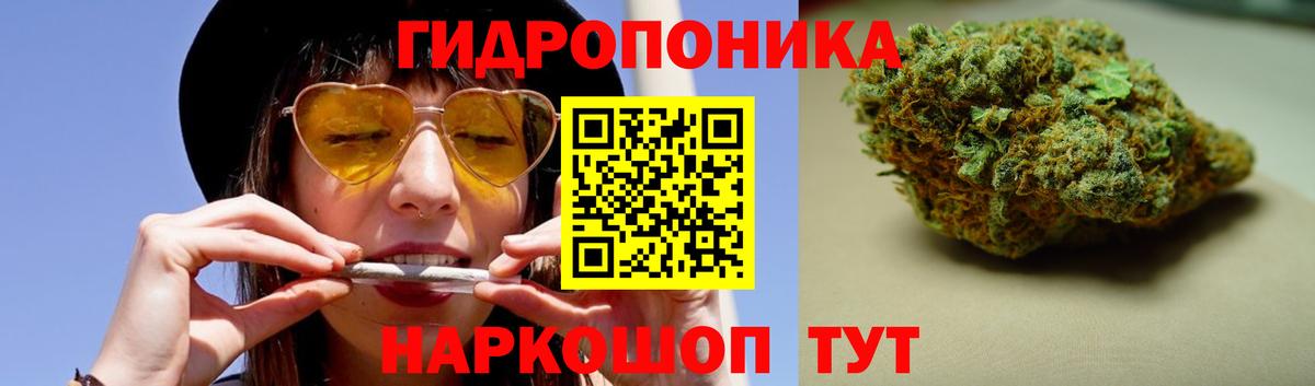 Бошки марихуана семена  Шишки марихуана MAZAR  Краснознаменск  Вход с VPN  Канабис индика  Каннабис ГИДРОПОН 